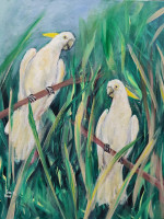 /album/photo-gallery-abstract-art/two-cockatoos-in-cane-field-jpg/